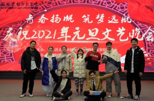 團學組織招新啦！點擊開啟你的藝術(shù)生涯，共繪青春華章